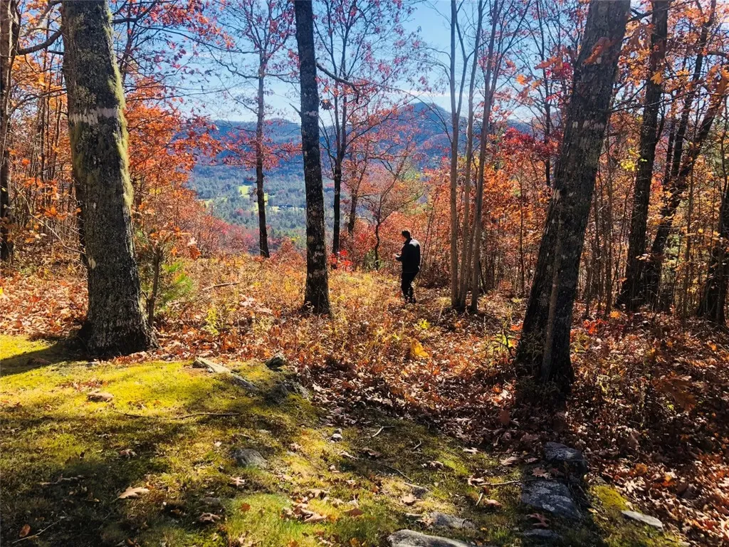 Lot 8 Windemere Drive Sapphire NC 28774