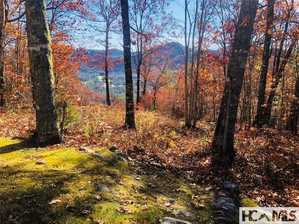 Lot 8 Windemere Drive Sapphire NC 28774