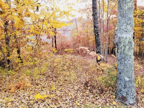 Lot 8 Windemere Drive Sapphire NC 28774