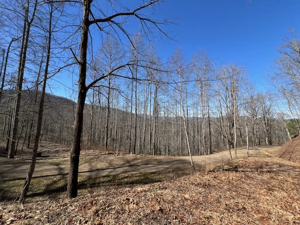 42 Witch Hazel Drive Franklin NC 28734