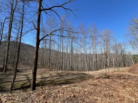 42 Witch Hazel Drive Franklin NC 28734