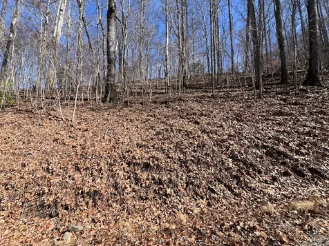 42 Witch Hazel Drive Franklin NC 28734