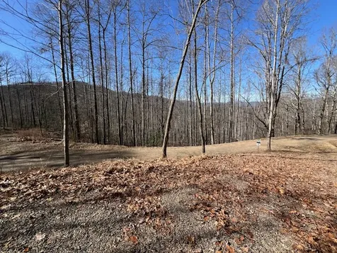 42 Witch Hazel Drive Franklin NC 28734