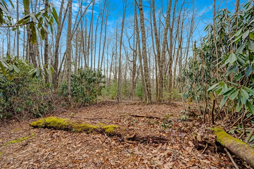 Lot 21 Hardscrabble Ridge Highlands NC 28741