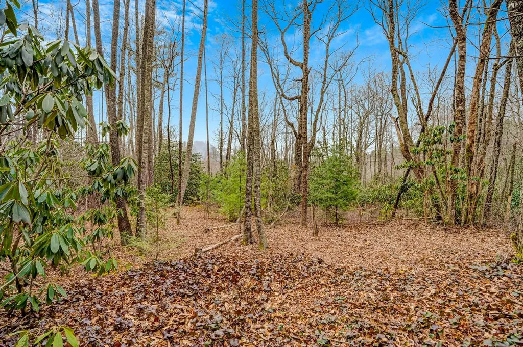 Lot 21 Hardscrabble Ridge Highlands NC 28741