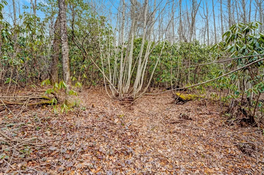 Lot 21 Hardscrabble Ridge Highlands NC 28741