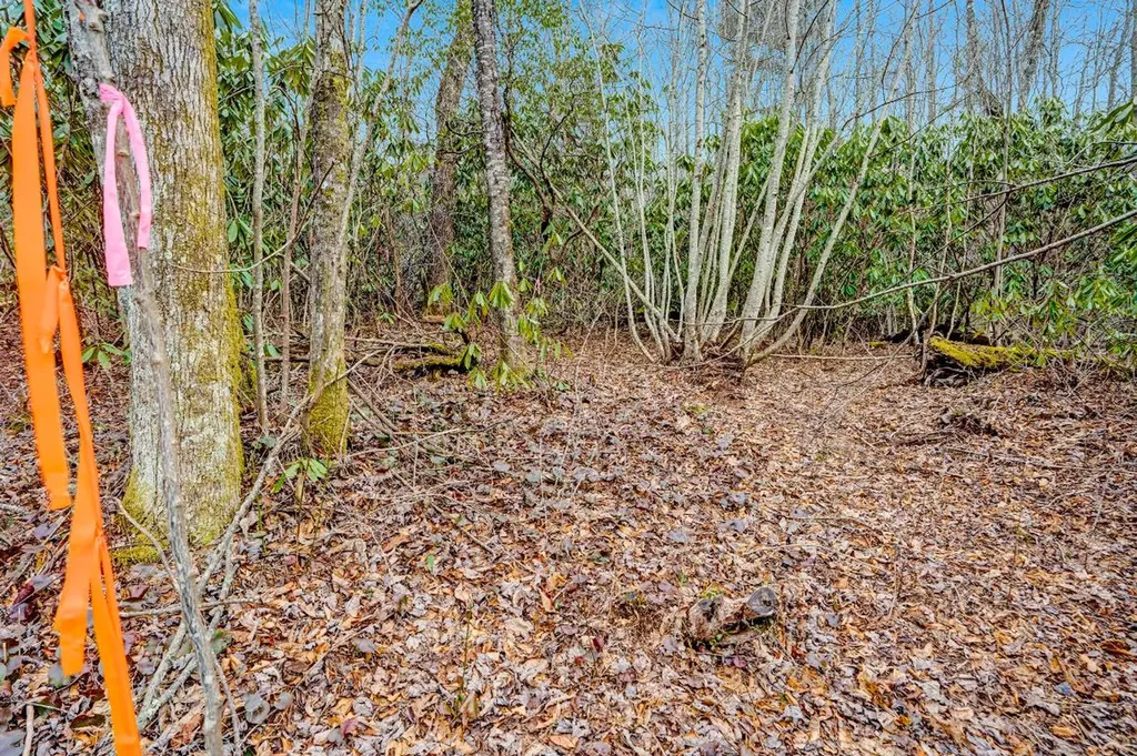 Lot 21 Hardscrabble Ridge Highlands NC 28741