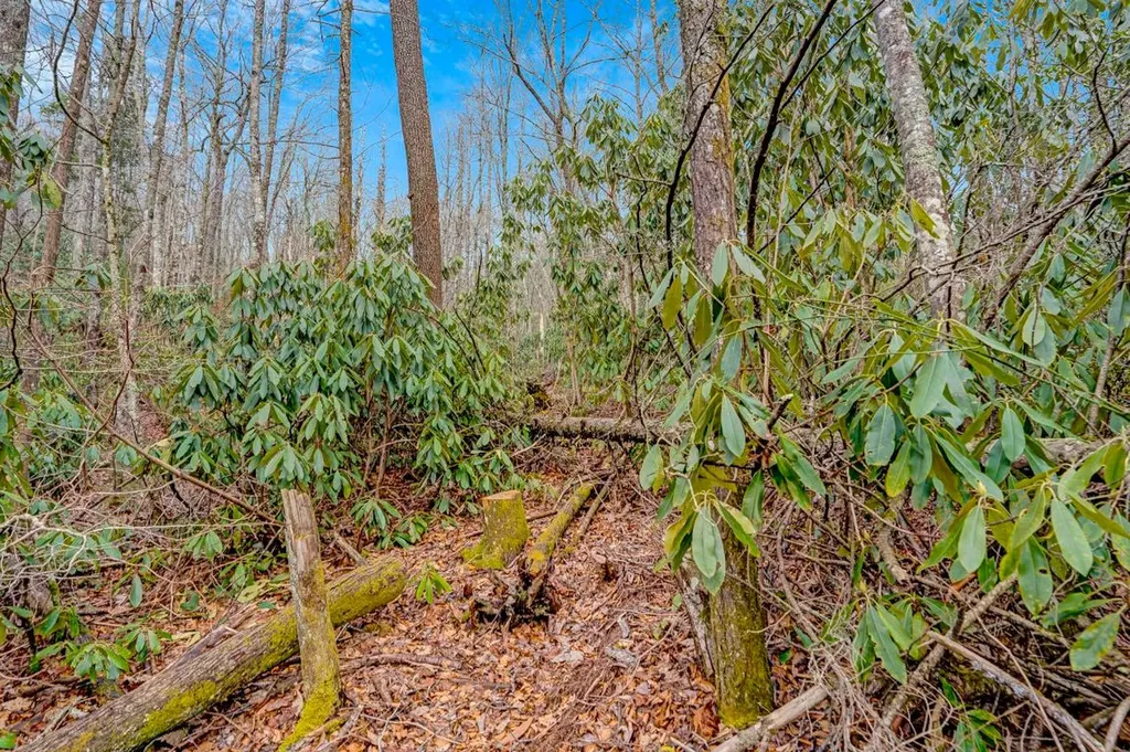 Lot 21 Hardscrabble Ridge Highlands NC 28741