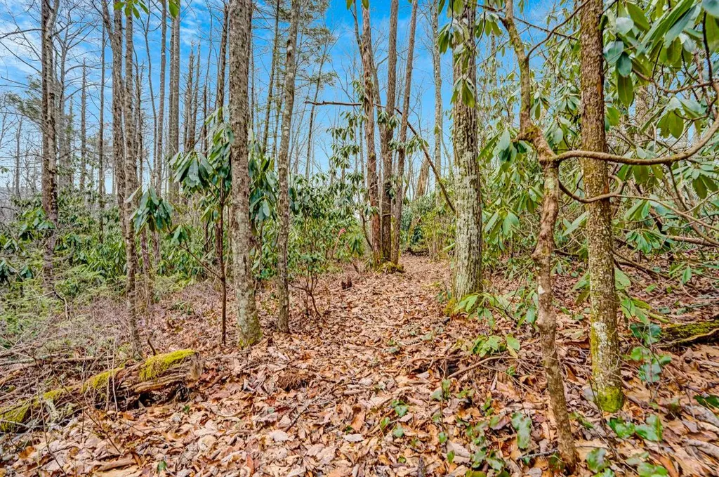 Lot 21 Hardscrabble Ridge Highlands NC 28741