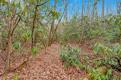 Lot 21 Hardscrabble Ridge Highlands NC 28741