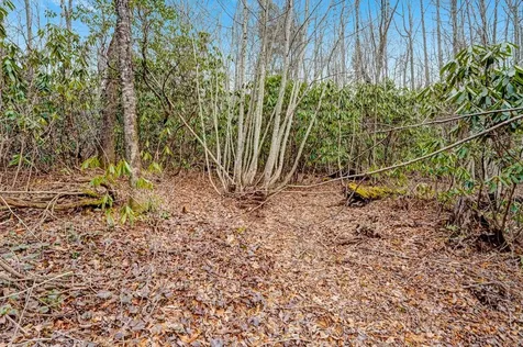 Lot 21 Hardscrabble Ridge Highlands NC 28741