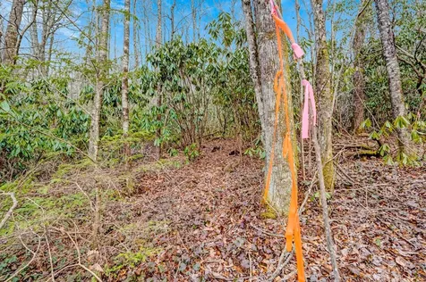 Lot 21 Hardscrabble Ridge Highlands NC 28741