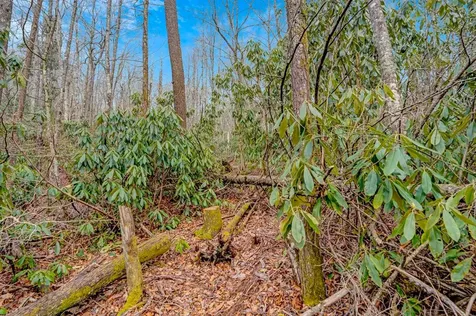 Lot 21 Hardscrabble Ridge Highlands NC 28741