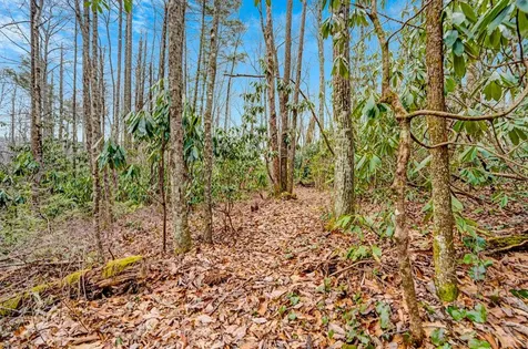 Lot 21 Hardscrabble Ridge Highlands NC 28741