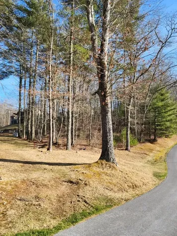 Lot 33 Club Lodges Drive Cullowhee NC 28723