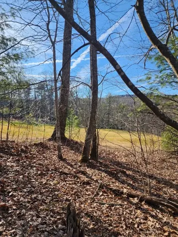 Lot 35 Club Lodges Drive Cullowhee NC 28723