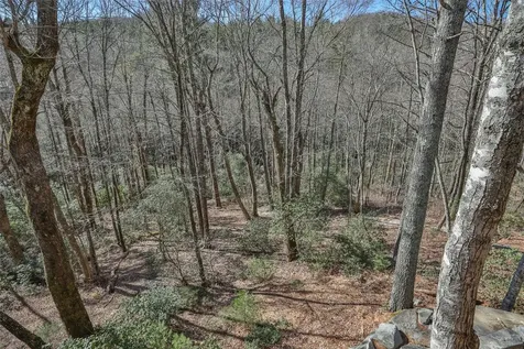 34 Red Cedar Court Sapphire NC 28774