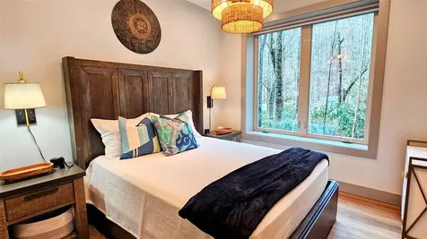 63 Speckled Feather Pass Sapphire NC 28774