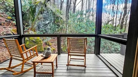 63 Speckled Feather Pass Sapphire NC 28774