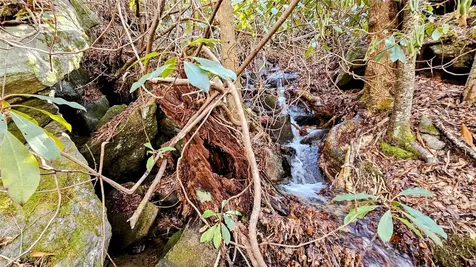 63 Speckled Feather Pass Sapphire NC 28774