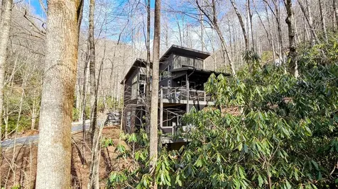 63 Speckled Feather Pass Sapphire NC 28774