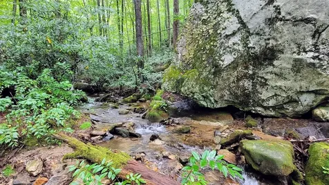 63 Speckled Feather Pass Sapphire NC 28774