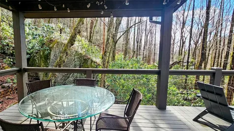 63 Speckled Feather Pass Sapphire NC 28774