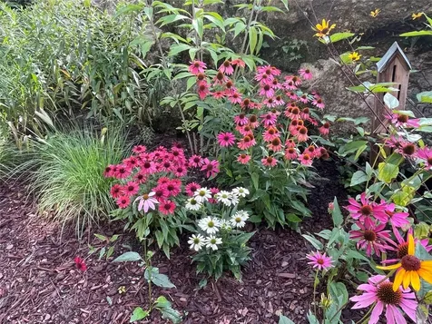 143 Foxglove Trail Glenville NC 28736