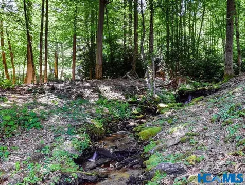 321 Mariposa Lane Cullowhee NC 28723