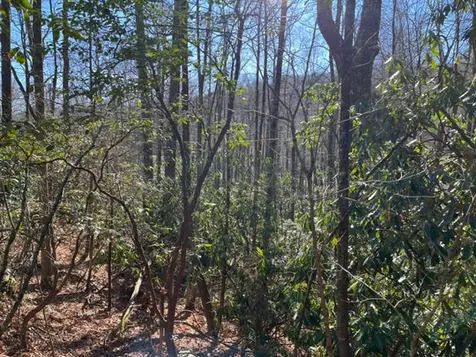 Lot 89 Christy Trail Sapphire NC 28774
