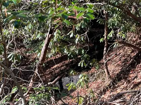 Lot 89 Christy Trail Sapphire NC 28774