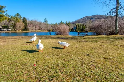 494 Satulah Ridge Road Highlands NC 28741