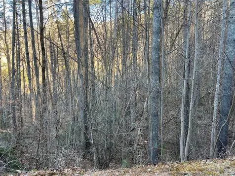 50 Rustling Woods Trail Cullowhee NC 28723