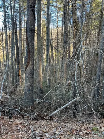 50 Rustling Woods Trail Cullowhee NC 28723
