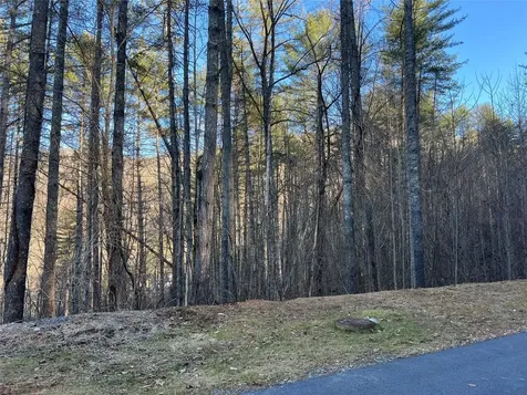 50 Rustling Woods Trail Cullowhee NC 28723