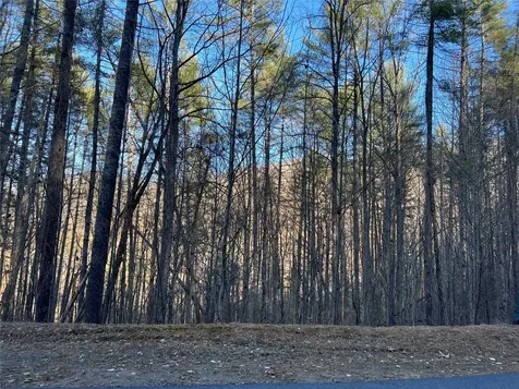 50 Rustling Woods Trail Cullowhee NC 28723