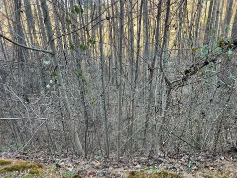 50 Rustling Woods Trail Cullowhee NC 28723