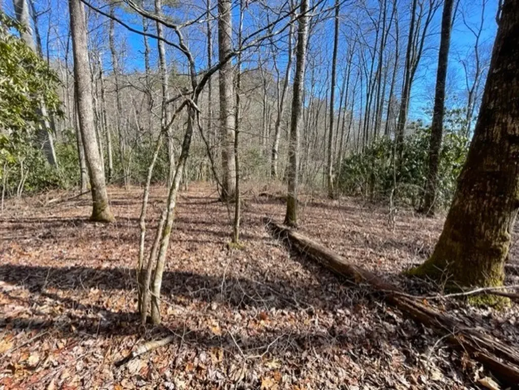 Lot 30 Cliff Ridge Cashiers NC 28717