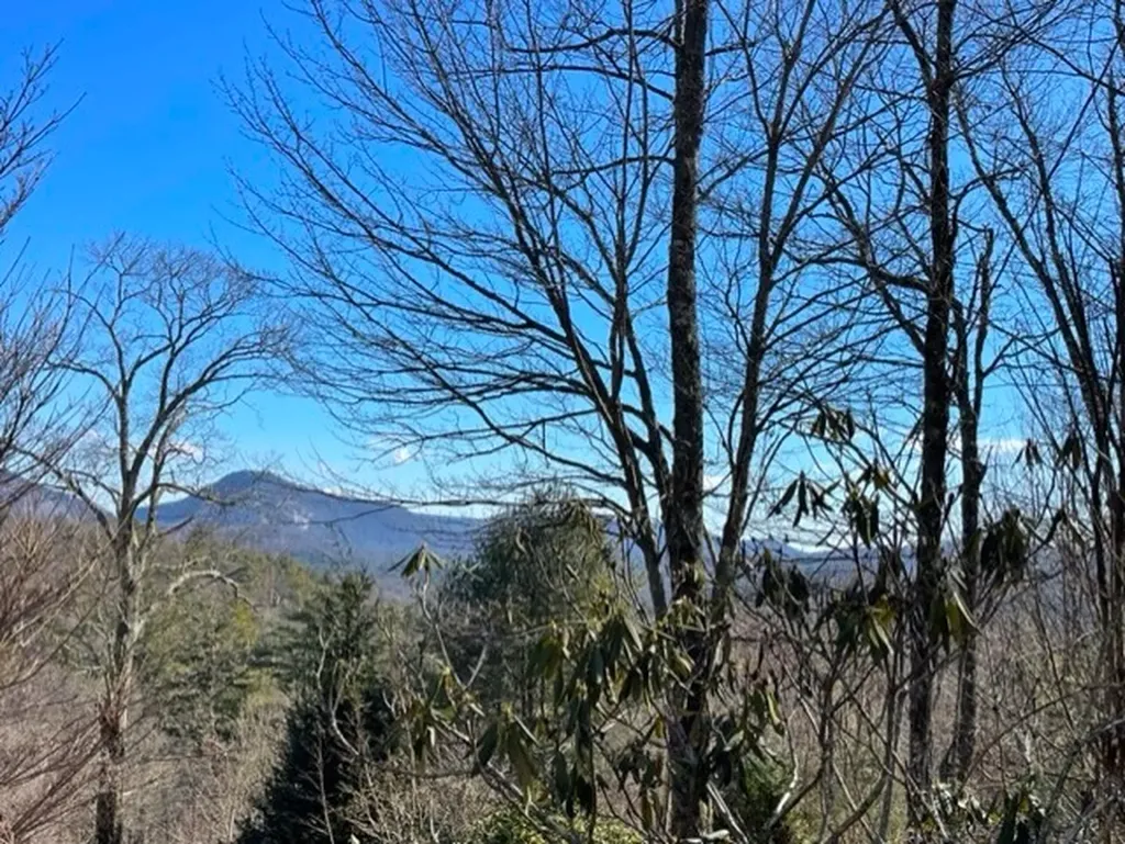 Lot 30 Cliff Ridge Cashiers NC 28717