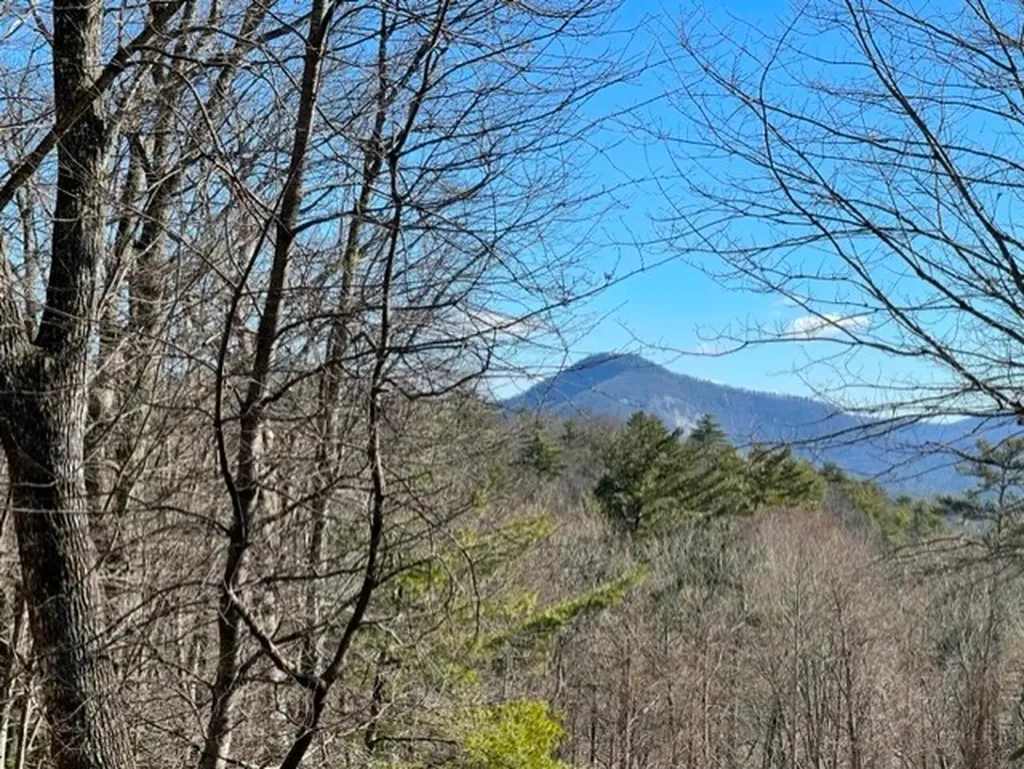 Lot 30 Cliff Ridge Cashiers NC 28717