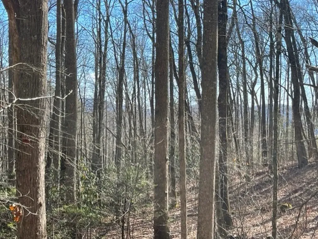 Lot 30 Cliff Ridge Cashiers NC 28717