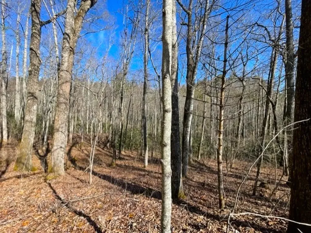 Lot 30 Cliff Ridge Cashiers NC 28717