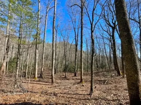 Lot 30 Cliff Ridge Cashiers NC 28717