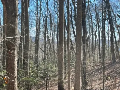 Lot 30 Cliff Ridge Cashiers NC 28717