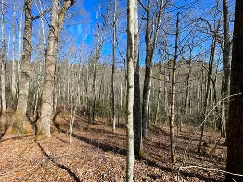 Lot 30 Cliff Ridge Cashiers NC 28717