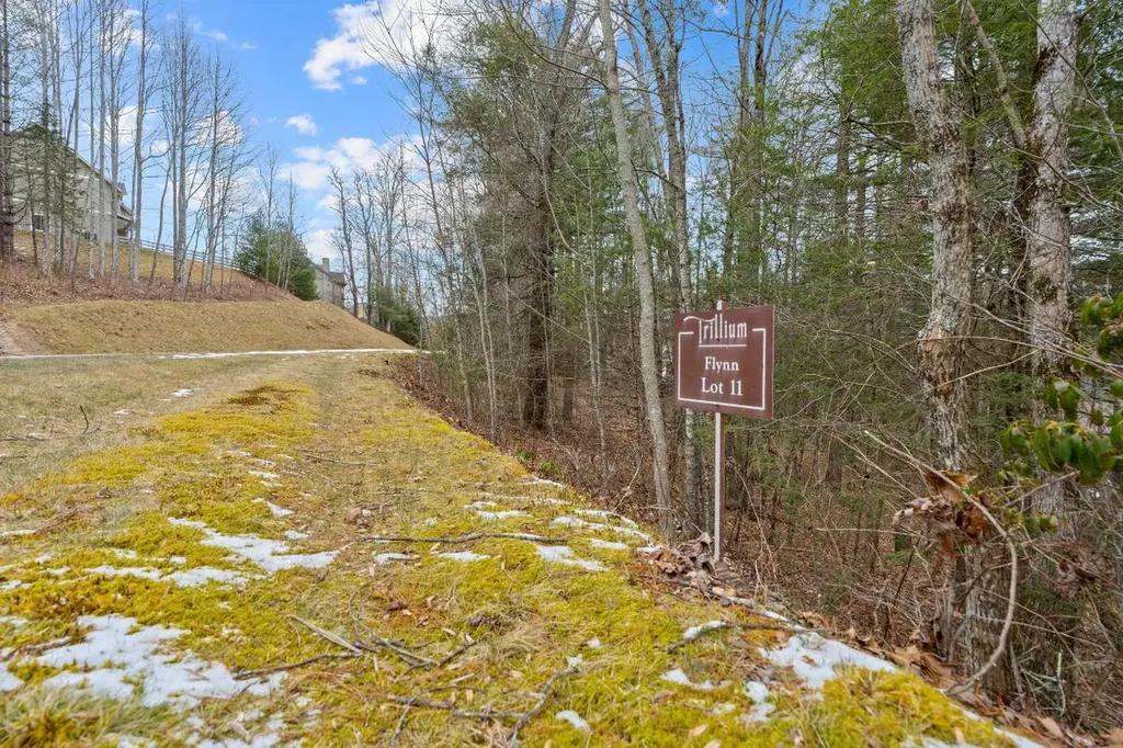 Lt 11 Trillium Ridge Road Cullowhee NC 28723