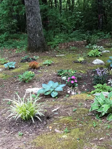 104 Jackson Avenue Lake Toxaway NC 28747