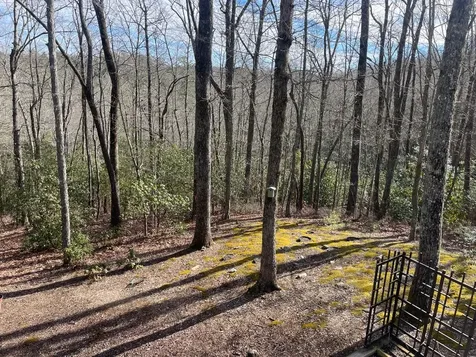 104 Jackson Avenue Lake Toxaway NC 28747
