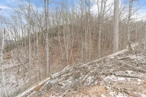 68 Parachute Ridge Glenville NC 28736