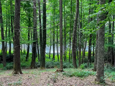 Tbd Arnold Road Highlands NC 28741